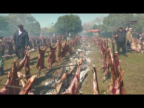 EN LOMAS DE VALLEJOS, SE REALIZÓ LA 15° FIESTA REGIONAL DEL CORDERO LOMEÑO