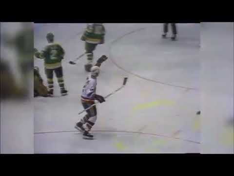 Islanders win 1981 Stanley cup, second cup in team history