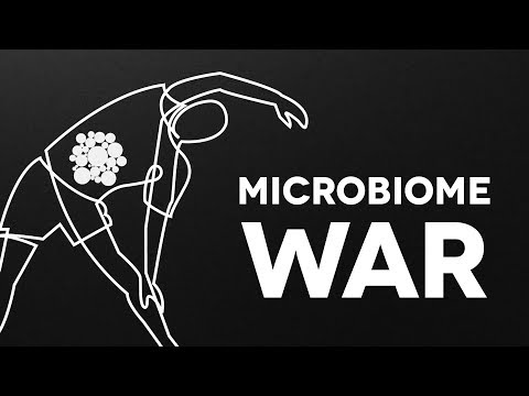 Gut Microbiome War: Good vs Bad Bacteria Explained | Dr. Dan Gubler (Part 1)