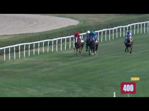 2018.08.05. 03. futam - REGATTA DÍJ (II.kat.)