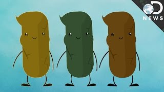 What Your Poop Says About Your Health