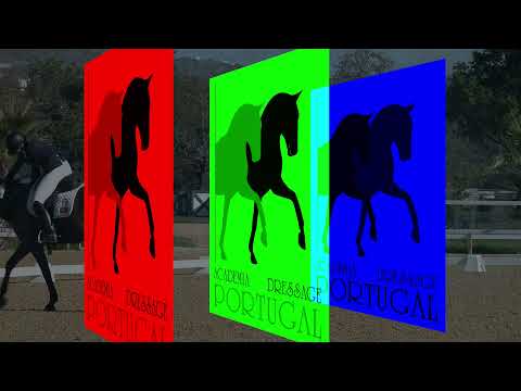 Academia Dressage Portugal Época 2021