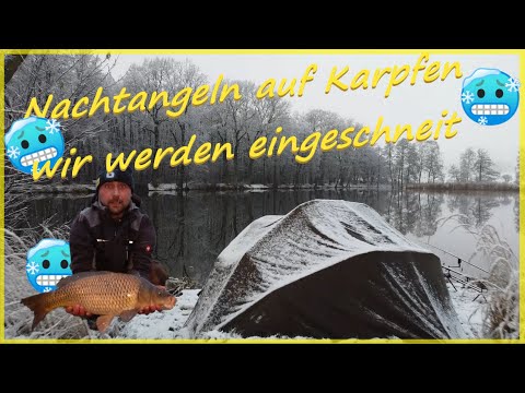 Karpfen Angeln im Winter ❄️ erfolgreich in kalten Nächte ❄️ wir werden wir eingeschneit❄️