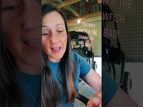 Uncurling the truth: When crawfish tails don't lie! A simple guide to crawfish safety.