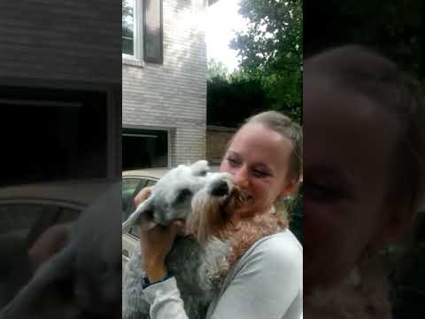 This Dog Was So Overjoyed, It Fainted!