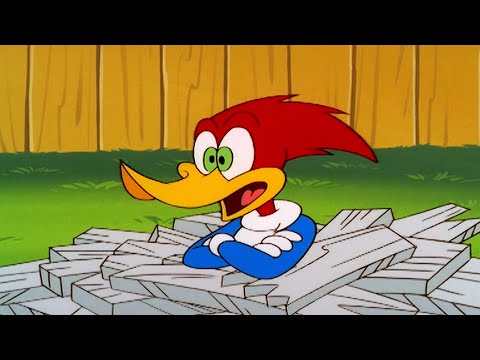 Capa de Mudança de endereço | Episódio Completo | Pica-Pau | Desenhos Animados em Português