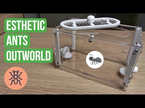 Recensione dell'Outworld di Esthetic Ants