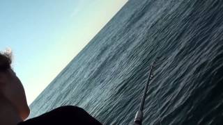 Рыбалка на черном море подсекай семеныч
