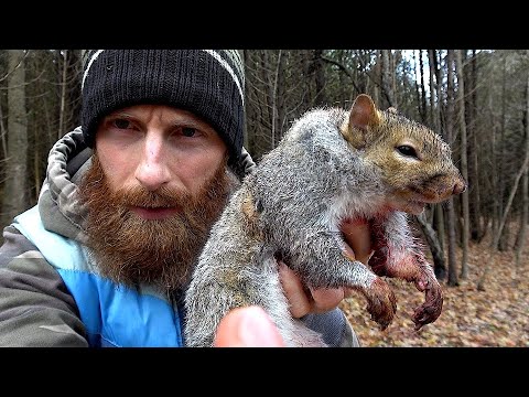 Squirrel Hunting in Canada with a 22 Rifle - ASMR