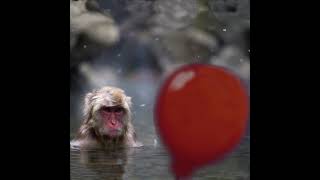 Cover art for Quincy son of quincy