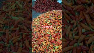 Download lagu gemoar mau#shorts mp3 Download lagu gemoar mau#shorts mp3