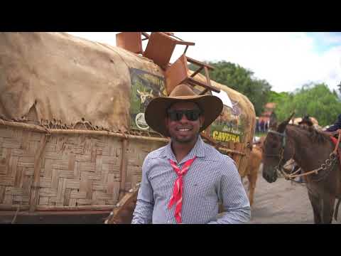 Festa do carro de boi ouro Verde Goiás 2026