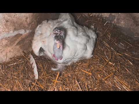 Natočte s námi nový Dokument