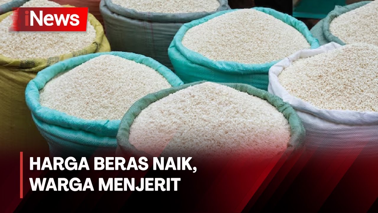 Harga Beras Naik, Pedagang Kesulitan Cari Pasokan Beras - iNews Prime 13/02