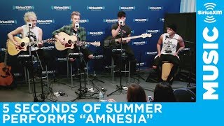 5 Seconds of Summer - &quot;Amnesia&quot; [Live @ SiriusXM]