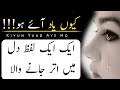 Best Urdu Poetry Status Kyun Yaad Aye Ho Urdu Shayari Status Rj Shobi Poetry