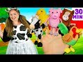 Farm Animals Finger Family and more Animals Songs | Finger Family Collection - Learn Animals Sounds