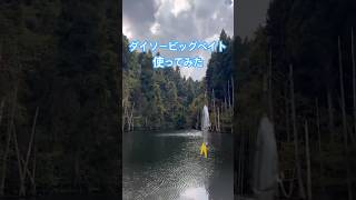 ダイソービッグベイト使ってみた！