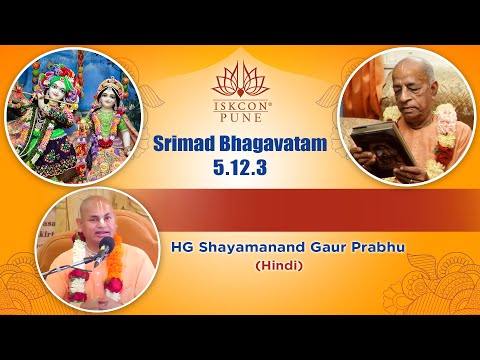 SB-5.12.3 HG Shayamanand Gaur Prabhu (Hindi) 2021-07-02 #ISKCONNVCC​​​ Pune
