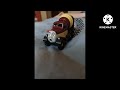 On Site With Thomas Crash Remake