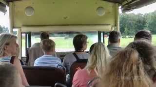 preview picture of video 'Serengeti Park Hodenhagen - Safari Tour'