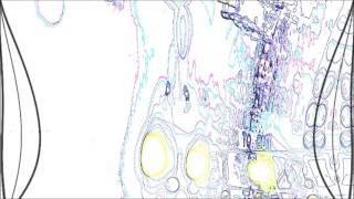 Hollowed by parasites official video