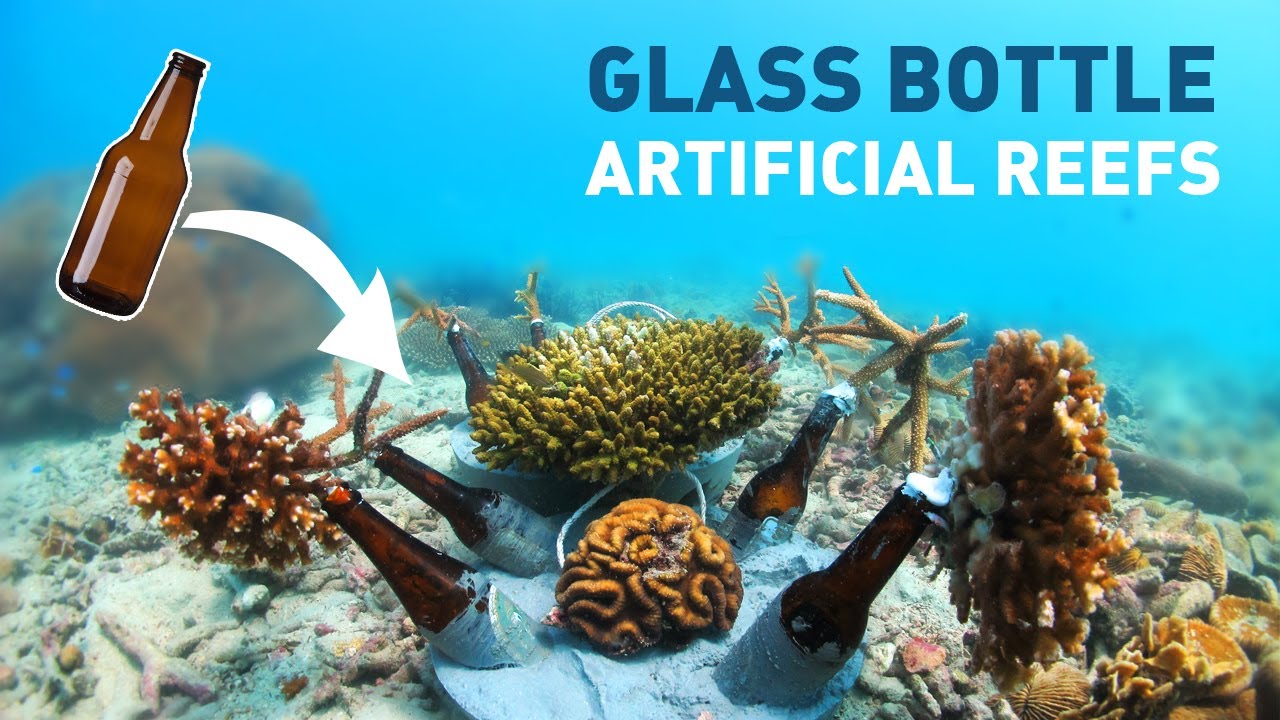 How to Build Coral Reefs with Glass Bottles: A Step-by-Step Guide by Conservation Diver
