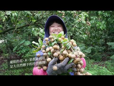 臺南400農業影音集錦