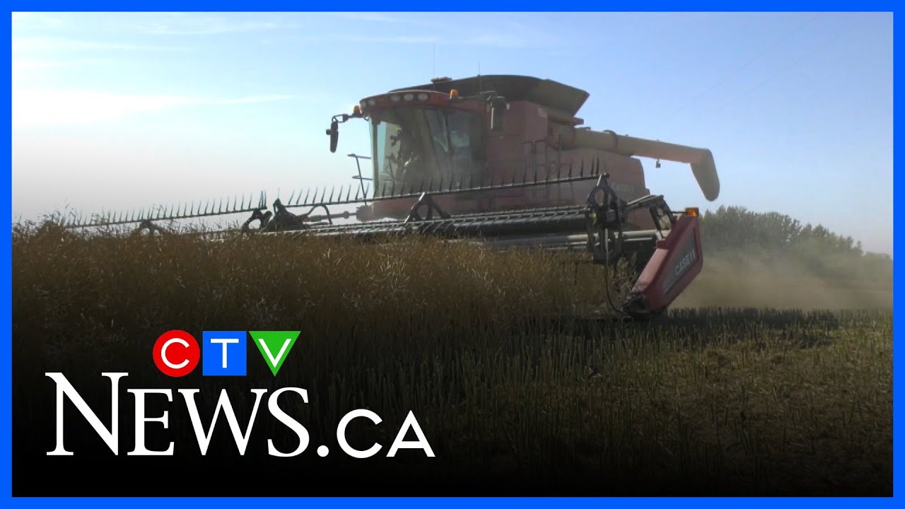 Unpredictable Weather Puts Global Agriculture Under Strain