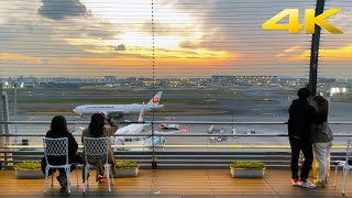 Download lagu Haneda International Airport: Terminal 1 - Walking Tour mp3 Download lagu Haneda International Airport: Terminal 1 - Walking Tour mp3