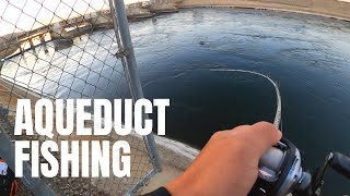 Never Give Up! | CA Aqueduct Fishing | Delta Mendota Canal | Striper Fishing