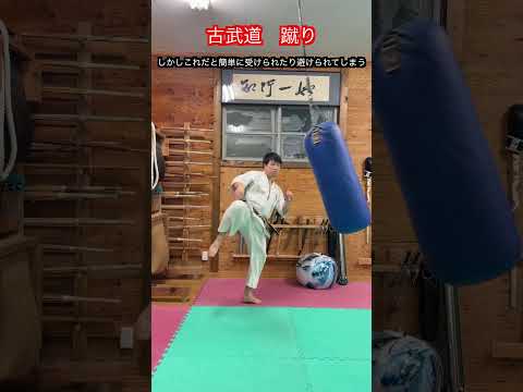 【武道・武術】古武道の蹴り　より相手に当てるための考え方とは！？　#aikido ＃karate #martial #武道 ＃#空手＃合気道＃筋トレ#selfdefens