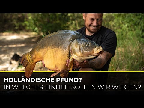 Karpfen richtig wiegen: Englische oder holländische Pfund? | All about the Journey | Karpfenangeln