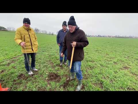 MR Feldtag 2.0 Emmer, Einkorn und Maisuntersaat