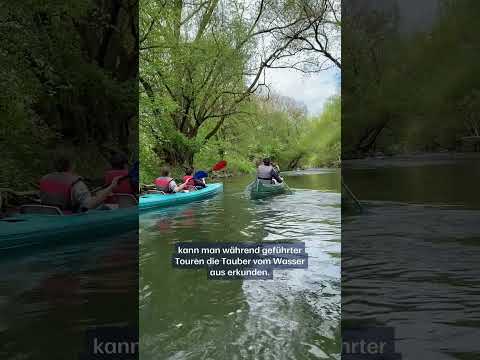 Kanufahren auf der Tauber