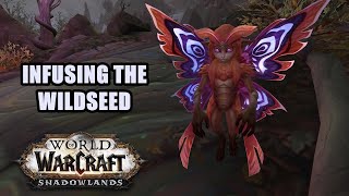 Infusing the Wildseed Quest WoW
