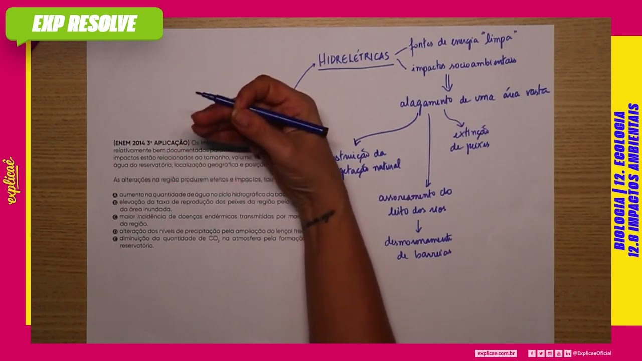 OS IMPACTOS DA CONSTRUÇÃO DE REPRESAS SÃO RELATIVAMENTE BEM DOCUMENTADOS (...) | IMPACTOS AMBIENTAIS