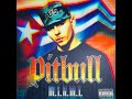 Pitbull ft. Oobie - I Wonder (Screwed & Chopped)