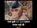 Hindi Marathi Meme That Will Make You Laugh YZ Memes