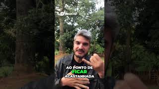 DOENÇA É SILENCIOSA E PODE LEVAR SUA CADELA