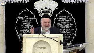 הרב ברוך רוזנבלום - פרשת בשלח ה׳תשפ״ו | סוד השירה והאמונה בקריעת ים סוף (רבנים שונים) - התמונה מוצגת ישירות מתוך אתר האינטרנט יוטיוב. זכויות היוצרים בתמונה שייכות ליוצרה. קישור קרדיט למקור התוכן נמצא בתוך דף הסרטון