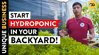 Got P500 to Invest? Learn Hydroponics Farming (TUTORIAL) | OG
