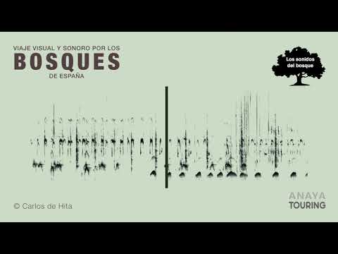 download lagu mp3 mp4 Carlos De Hita, download lagu Carlos De Hita gratis, unduh video klip Carlos De Hita