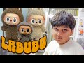 Chiku Has Hidden Rakhi 3 Labubu