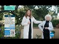 kathy ireland Fashion 360 Angelina Belted Shacket Dress