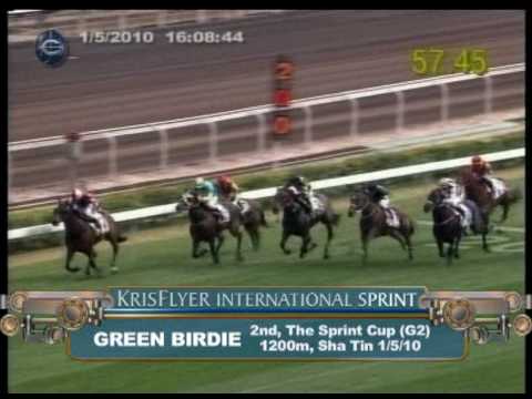 KrisFlyer International Sprint 2010 Contenders (Green Birdie)
