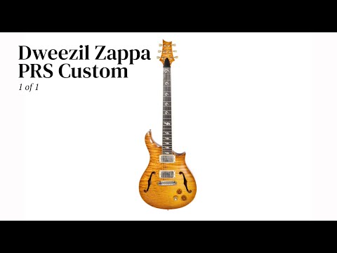 PRS Custom Dweezil Zappa