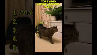Download lagu TOP 5 kucing ngomong lucu part 2#funyvideo #ngakak #top5 #kucing #lucu mp3