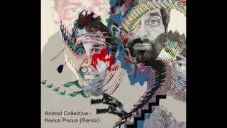 Hocus Pocus -Animal Collective (Remix) By Aidan Patrick Lozano