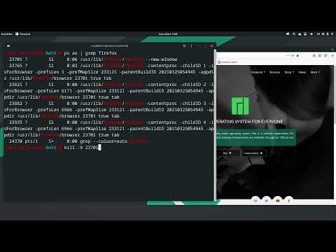 Video
